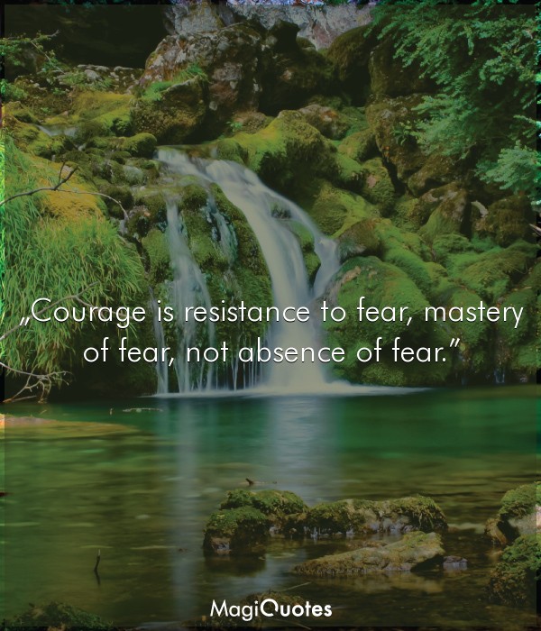 Courage is resistance to fear, mastery of fear, not absence of fear