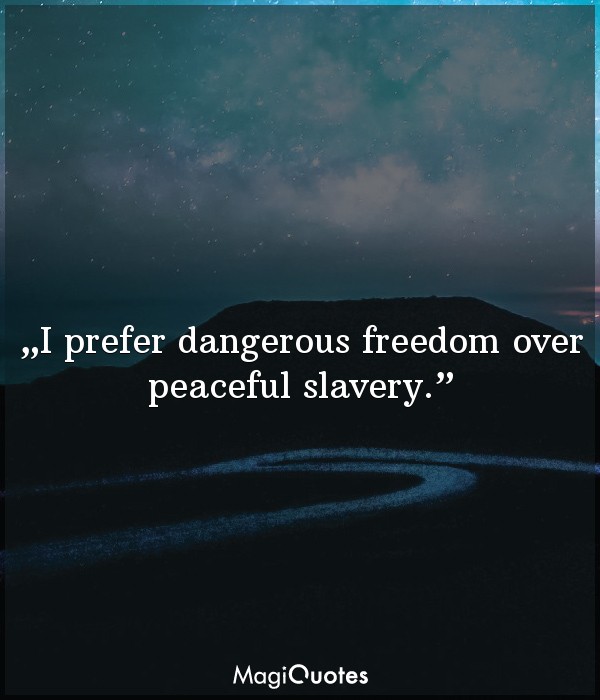 I prefer dangerous freedom