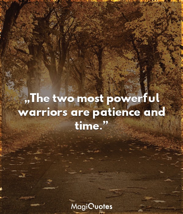 The two most powerful warriors are patience and time