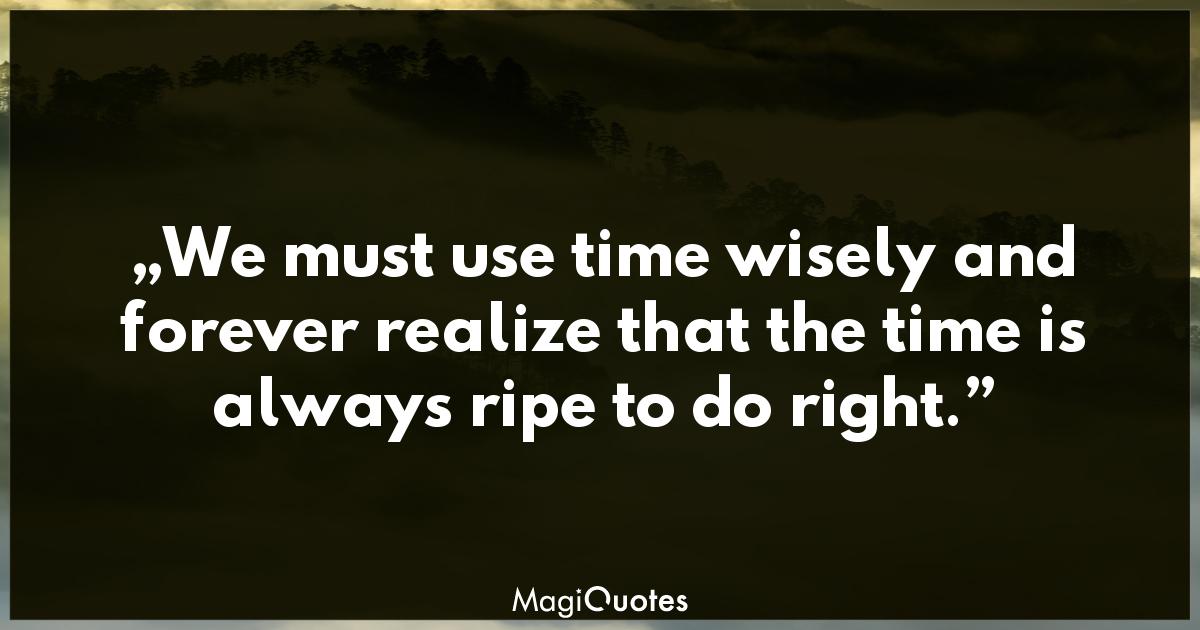 We must use time wisely Nelson Mandela