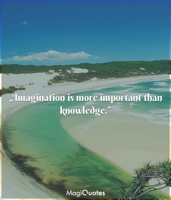 Imagination is more important than knowledge