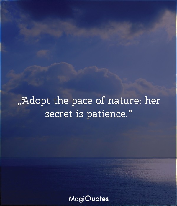Adopt the pace of nature: her secret is patience